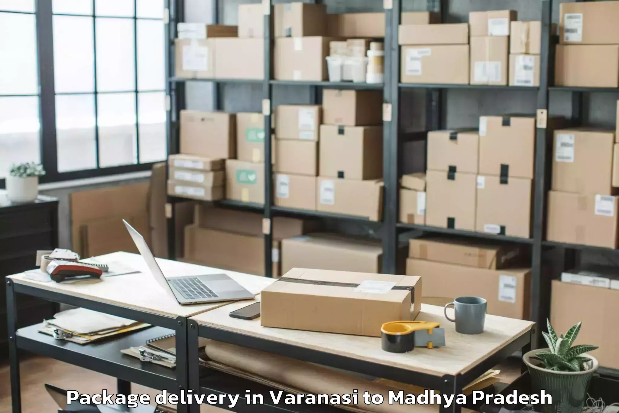 Varanasi to Dabra Package Delivery Booking